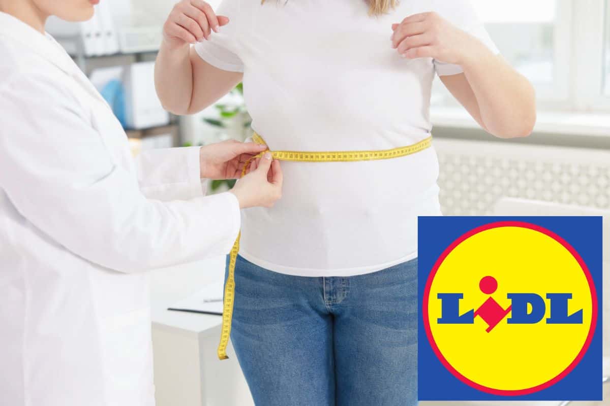 Lidl, perdere peso non è mai stato così facile e economico: con 35 euro puoi iniziare a dimagrire subito