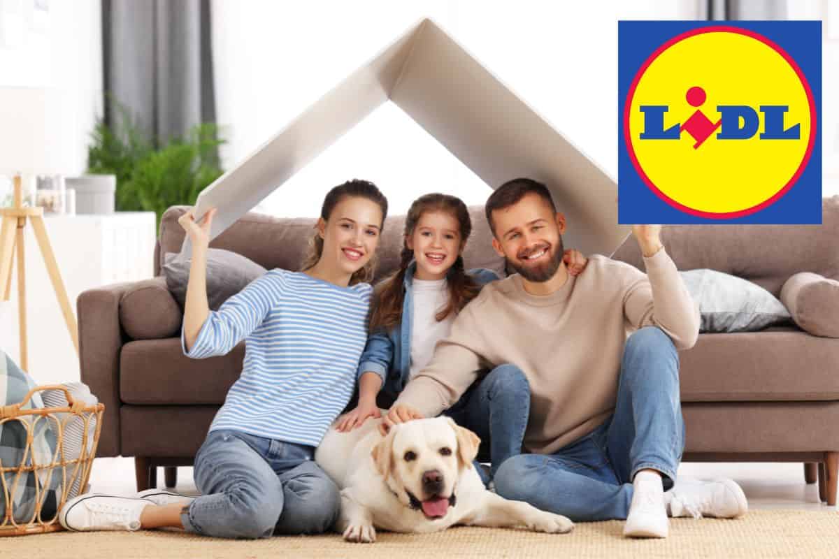 Se non hai questo in casa, rischi la vita: Lidl lo mette ad un prezzo mai visto prima