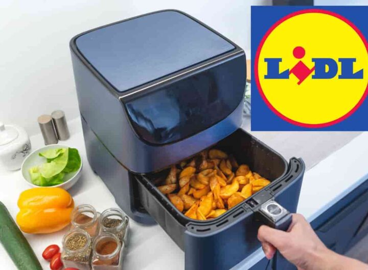 friggitrice ad aria moulinex in offerta da lidl