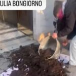letame giulia bongirono