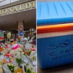 box frigo cuore domenico