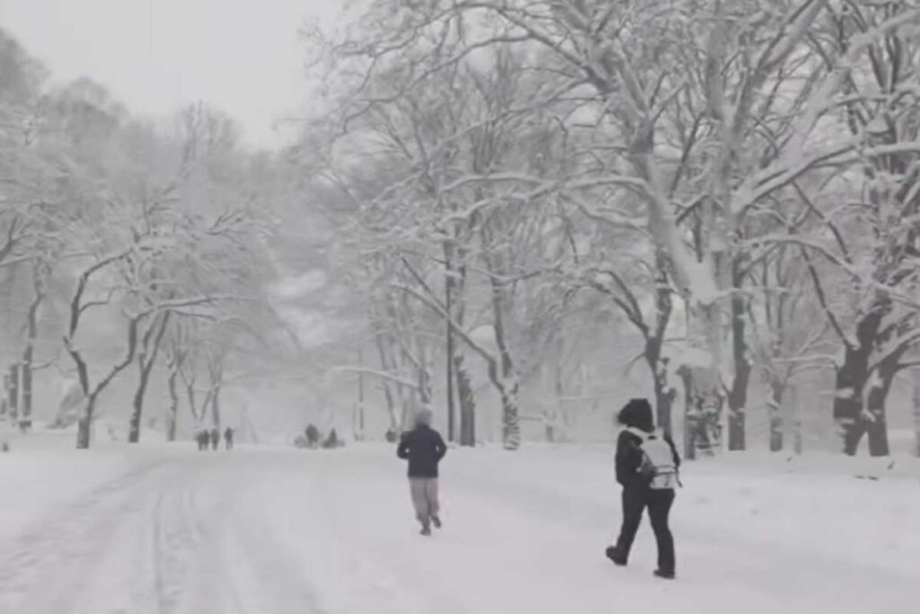 Neve a Central Park, New York