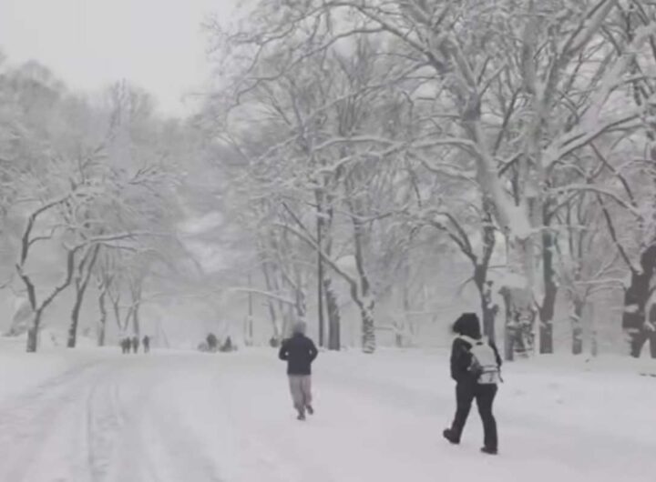 Neve a Central Park, New York