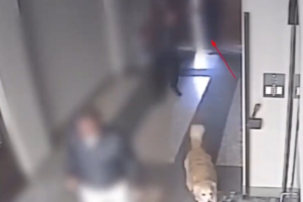 rapina Largo Treves milano