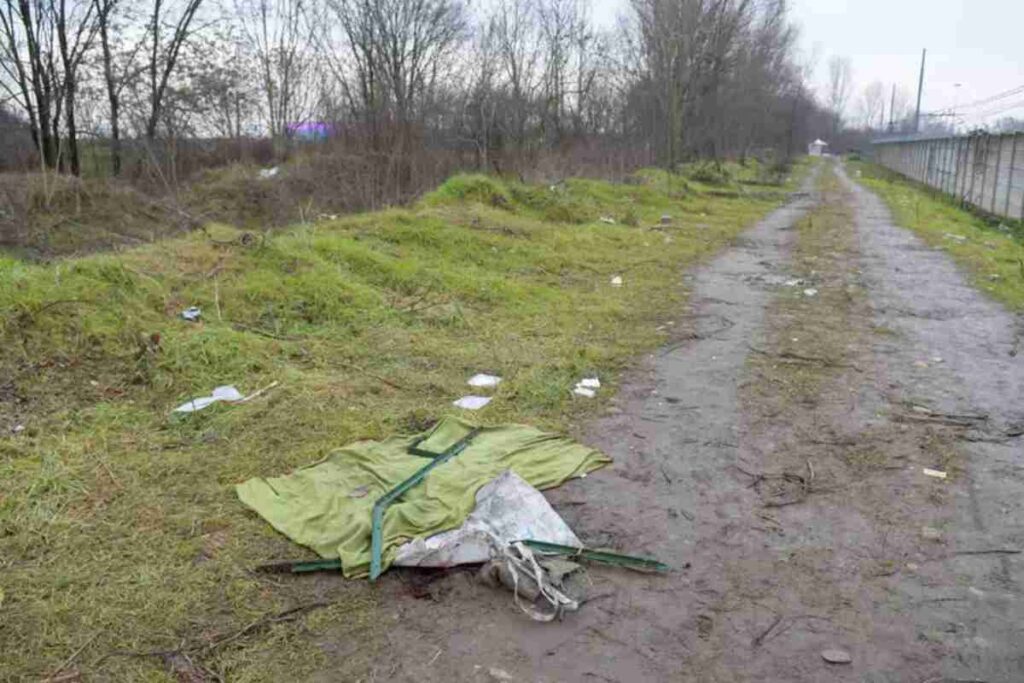 Il bosco di Rogoredo