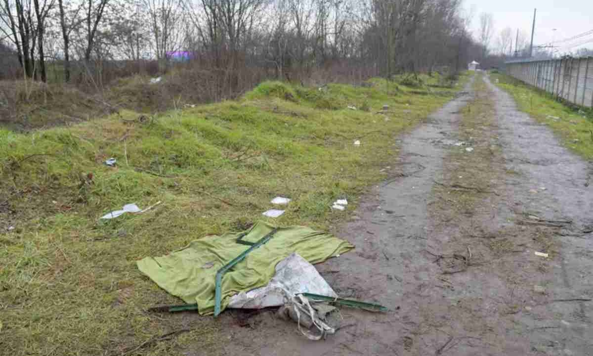 Il bosco di Rogoredo