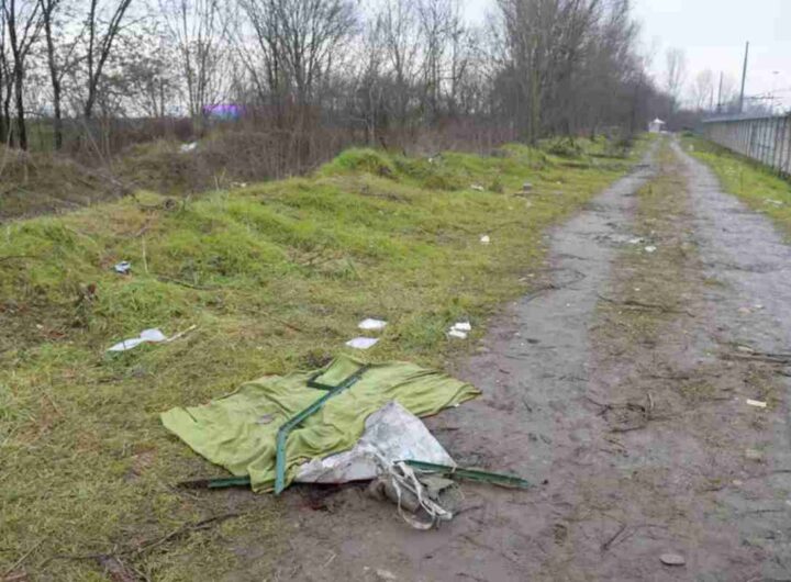 Il bosco di Rogoredo