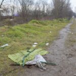 Il boschetto di Rogoredo