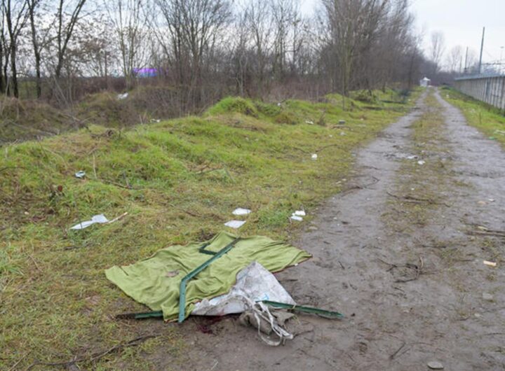 Il boschetto di Rogoredo