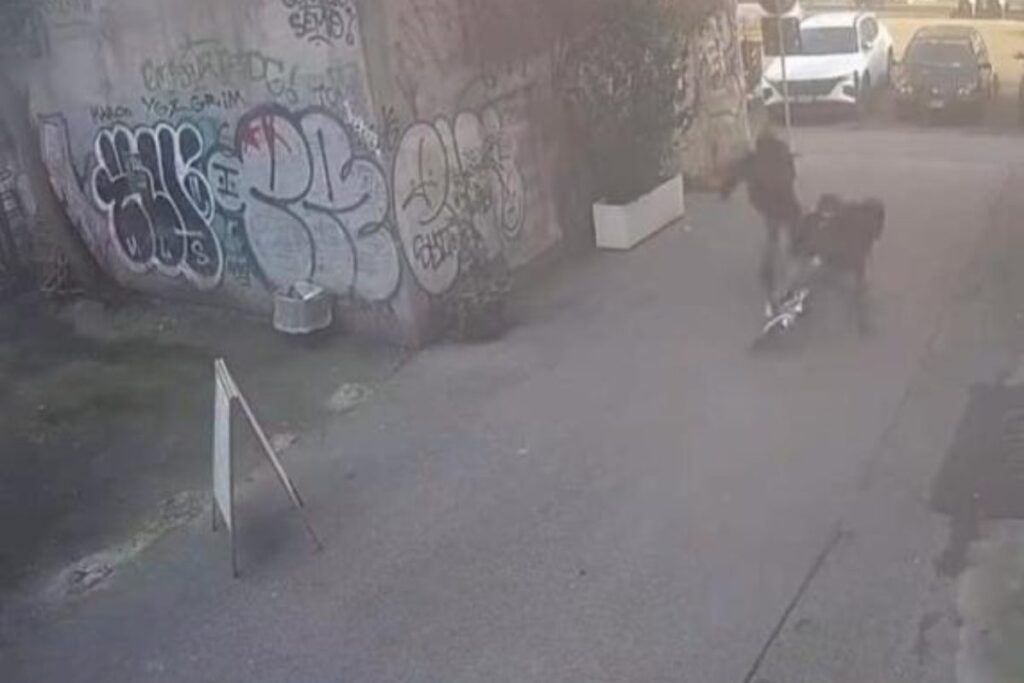 aggressione san lorenzo