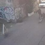 aggressione san lorenzo