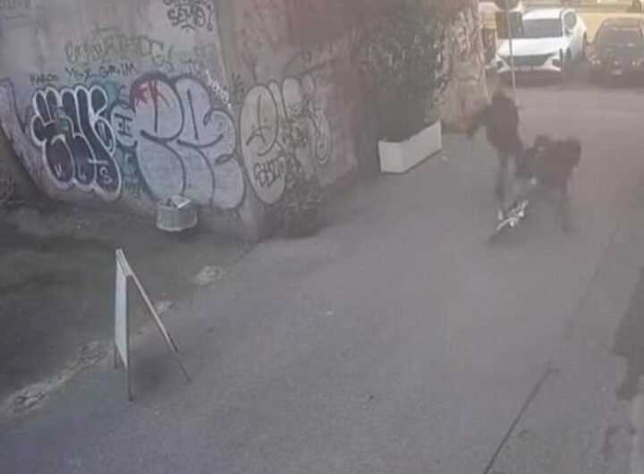 aggressione san lorenzo