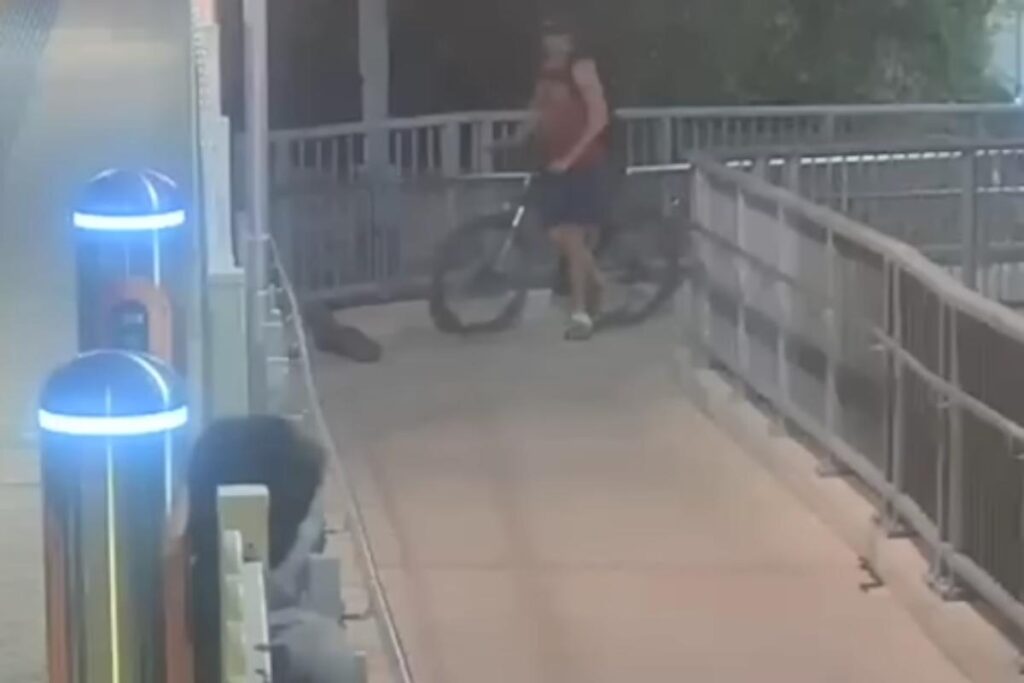 Serpente in stazione