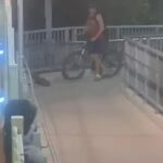 Serpente in stazione