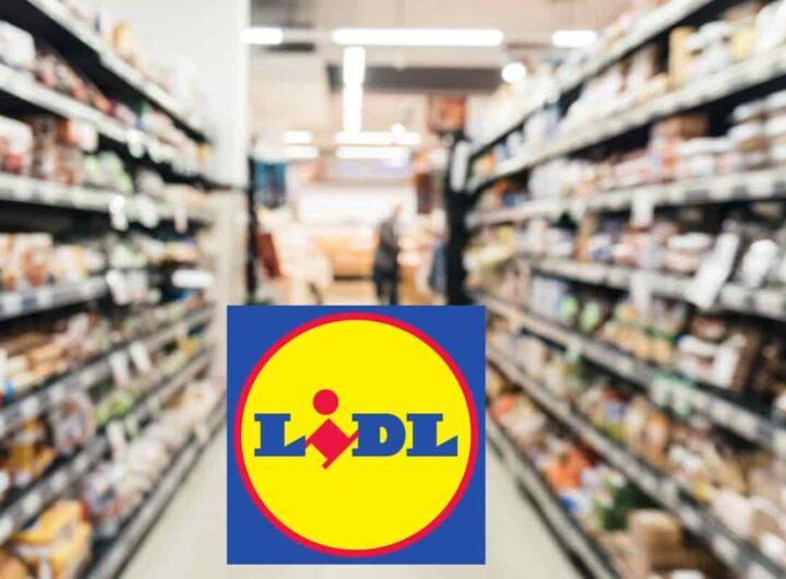 offerta pazzesca lidl da 7 euro