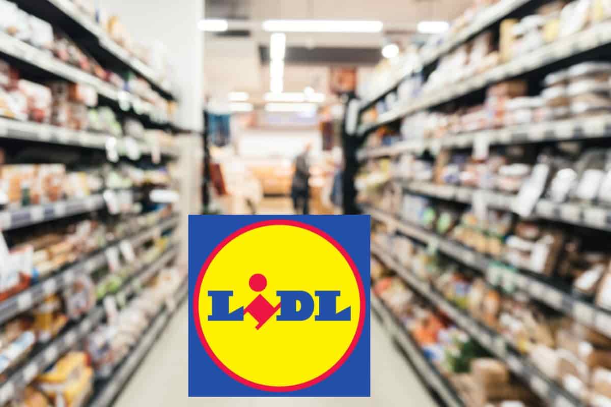 Non li ho mai trovati a meno di 30 euro l’uno, ora da Lidl ne prendi 2 a 7 euro! L’offerta da non perdere