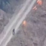 Incendio nel trapanese