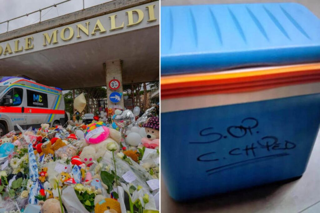 bambino morto trapianto domenico