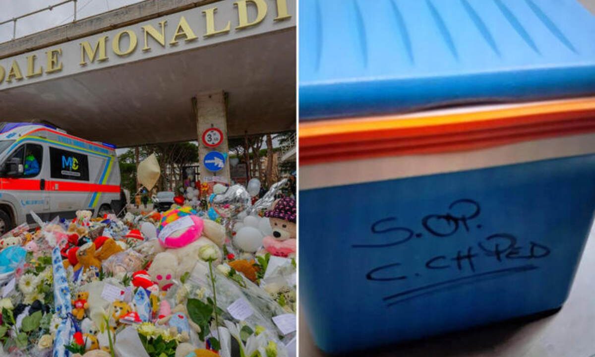 bambino morto trapianto domenico