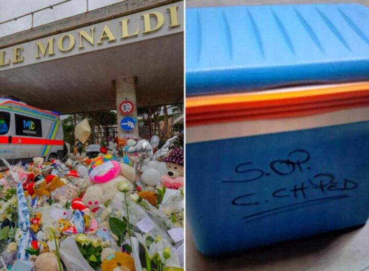 bambino morto trapianto domenico