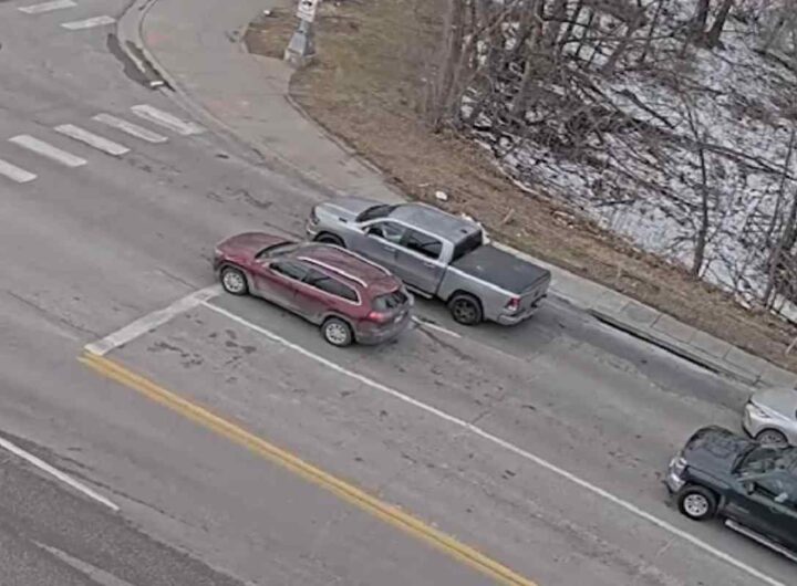 Auto ferme al semaforo