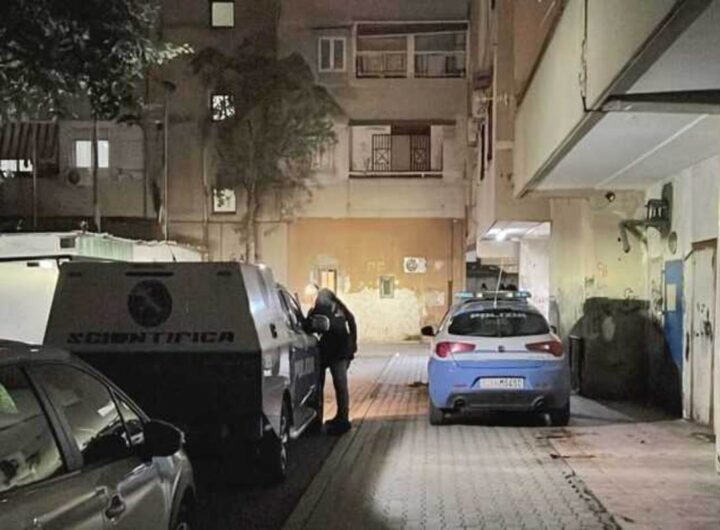 ylenia musella uccisa fratello