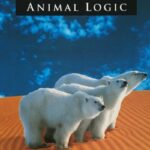 L'immagine di copertina di Animal Logic II, con tre orsi polari su una duna del deserto