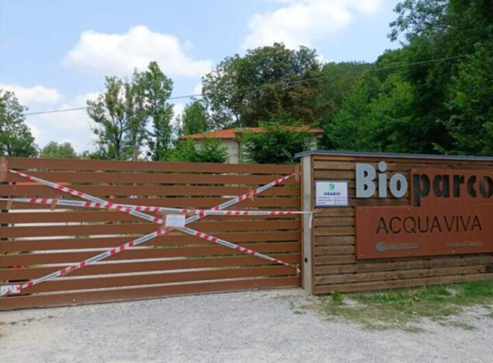 bioparco acquaviva