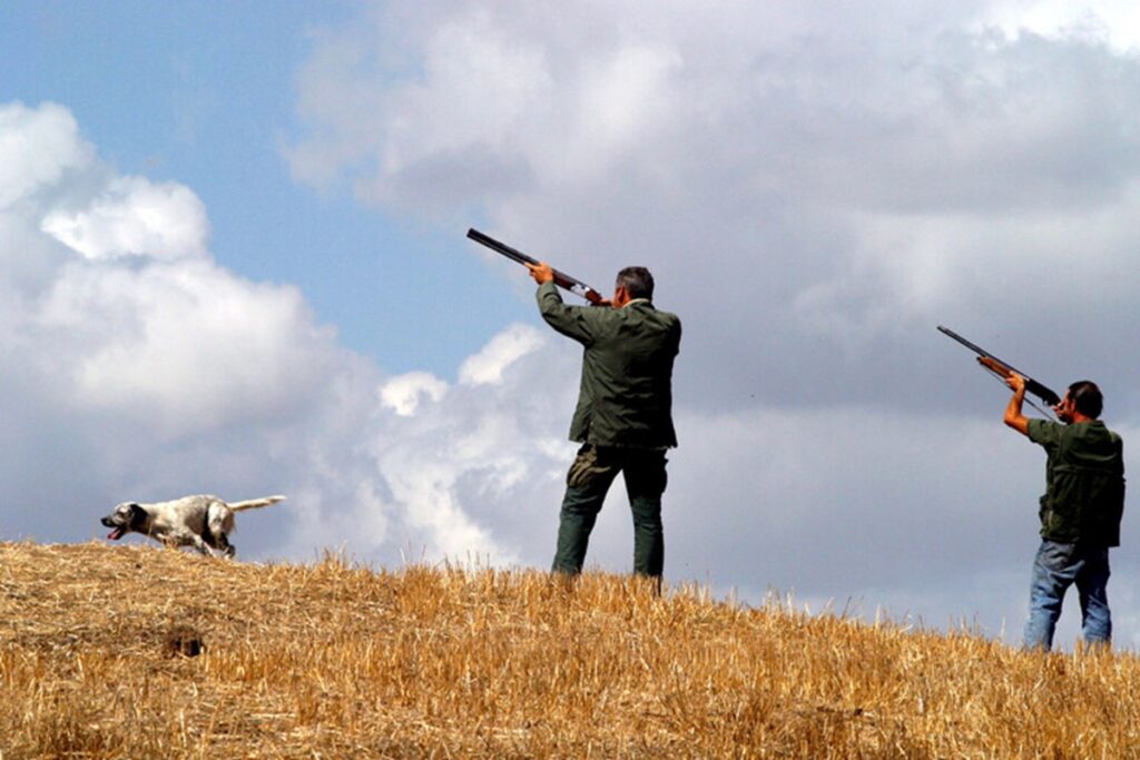 Una battuta di caccia