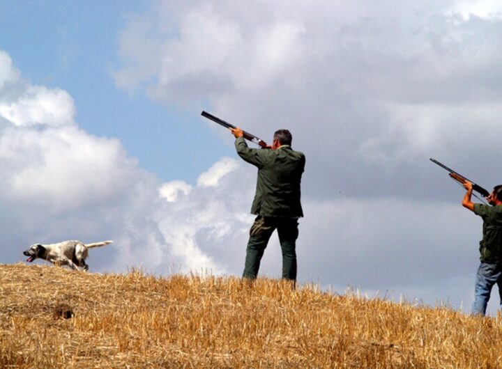 Una battuta di caccia