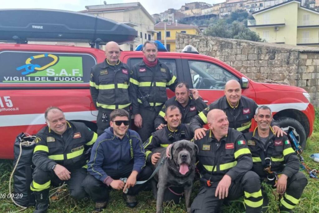 cane corso salvato