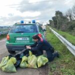 cimitero cani macerata