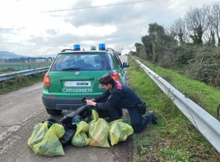cimitero cani macerata