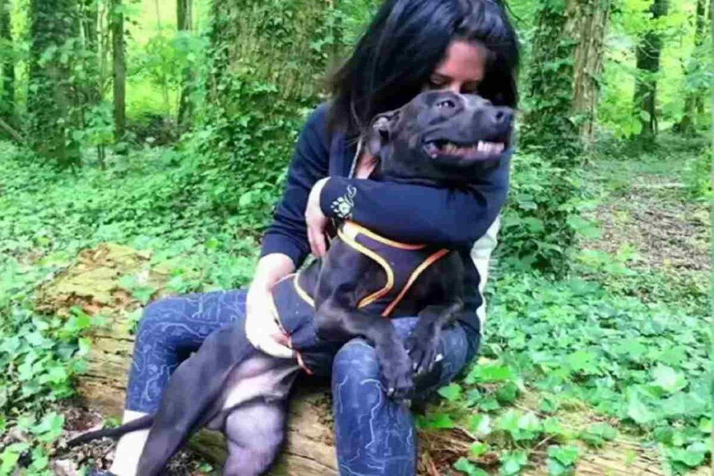 Elisa, la 29enne sbranata dal pitbull. Nella foto la donna insieme al cane