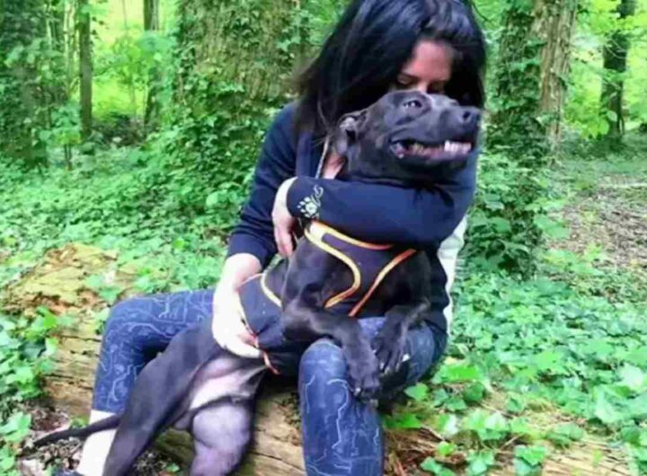 Elisa, la 29enne sbranata dal pitbull. Nella foto la donna insieme al cane