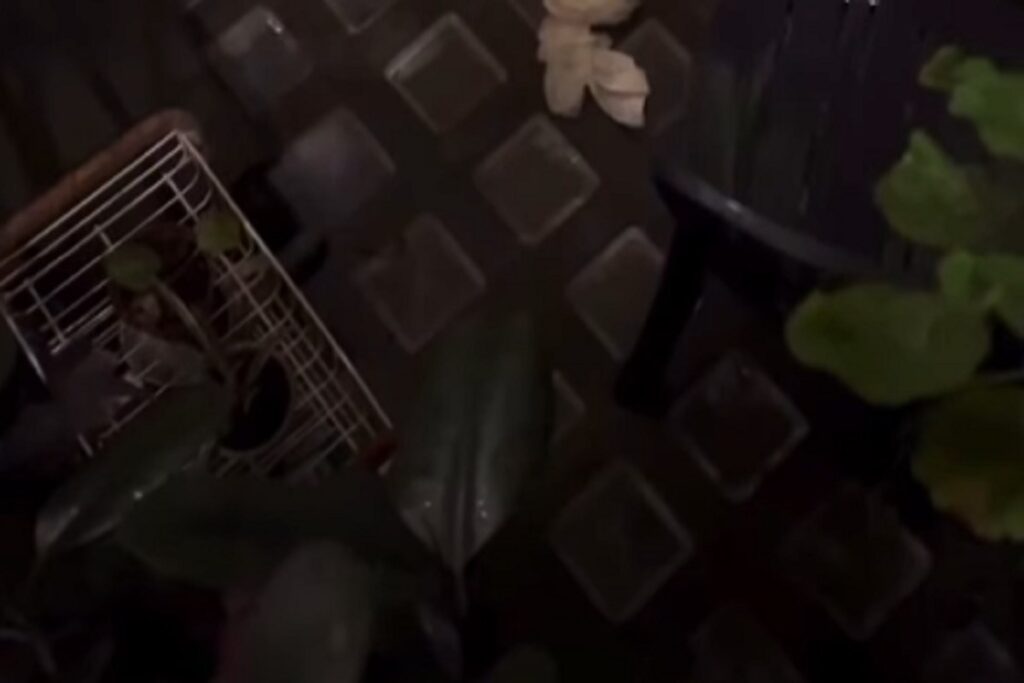 Turista getta rifiuti a Firenze