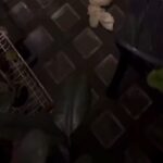 Turista getta rifiuti a Firenze