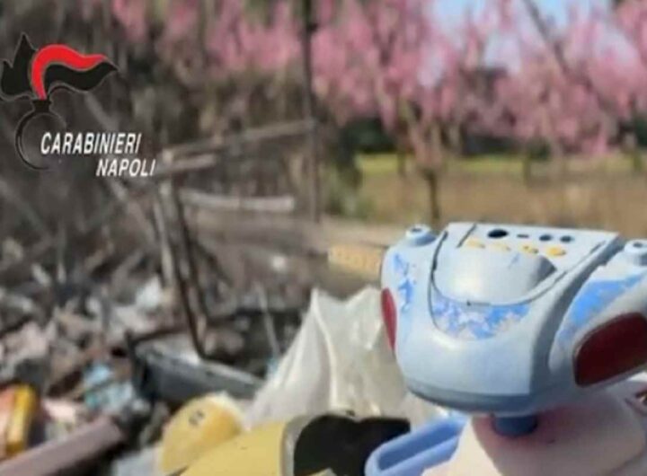 Rogo nella Terra dei fuochi