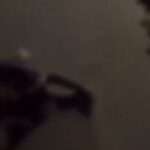 Rapina con il taser a Torino