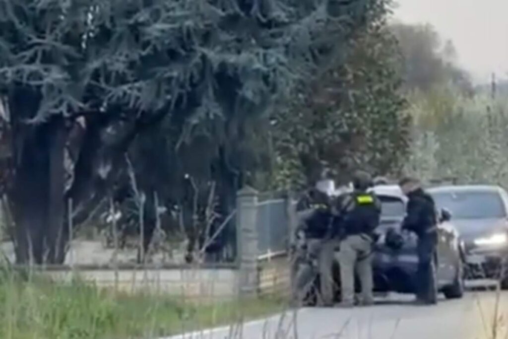 rapinatore su albero