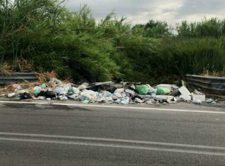 rifiuti in autostrada
