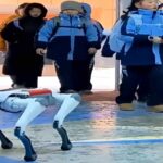 Cina, studenti accolti da cani robot
