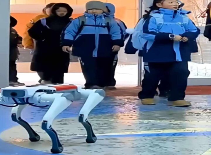 Cina, studenti accolti da cani robot