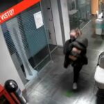 rosa vespa rapisce neonata