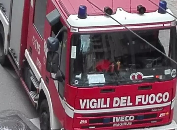 I Vigili del Fuoco