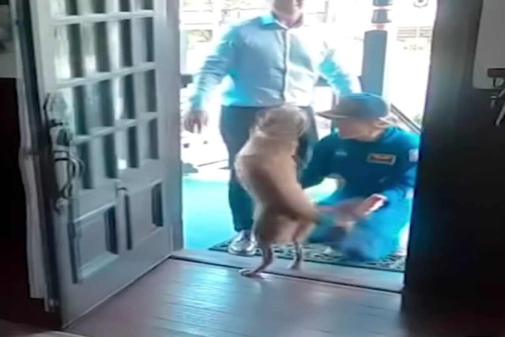 L'astronauta Christina Koch accolta a casa dalla sua cagnolina Sadie