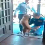 L'astronauta Christina Koch accolta a casa dalla sua cagnolina Sadie