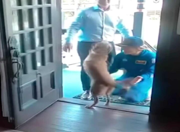 L'astronauta Christina Koch accolta a casa dalla sua cagnolina Sadie