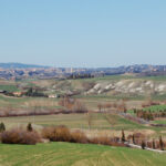 Vigili del fuoco
