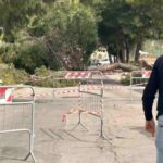 L'albero caduto a Bisceglie che ha travolto una bambina di 12 anni